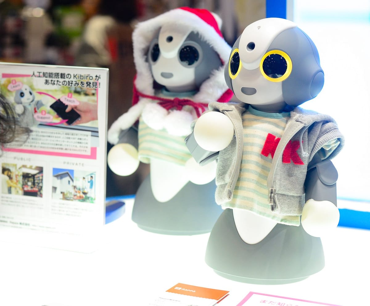 An exploration of the Tokyo International Robot Exhibition