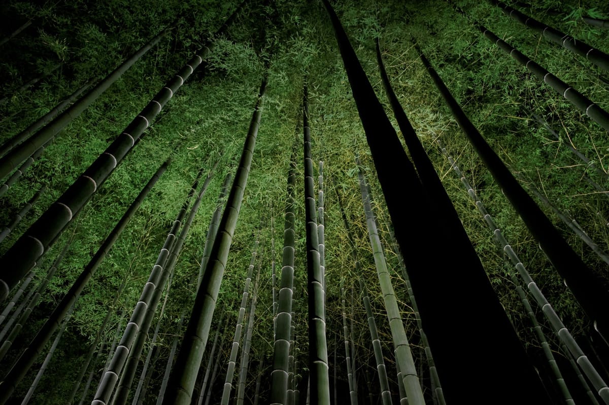 Shōren-in Temple in Kyoto
