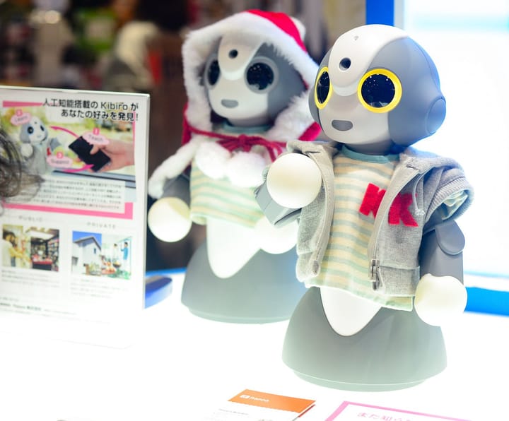 An exploration of the Tokyo International Robot Exhibition